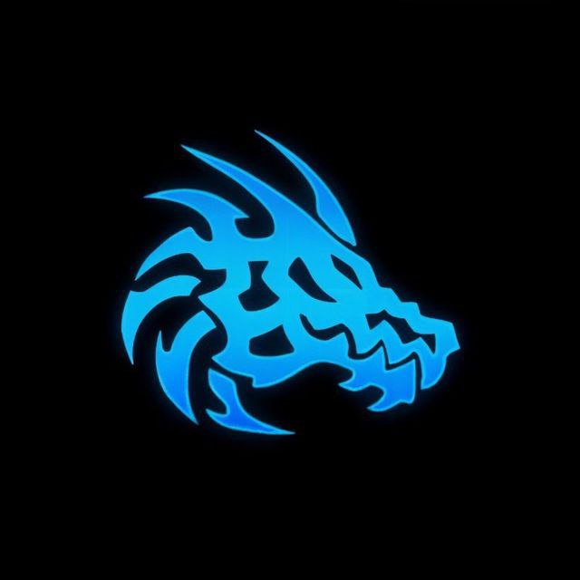 Platina Esports Academy